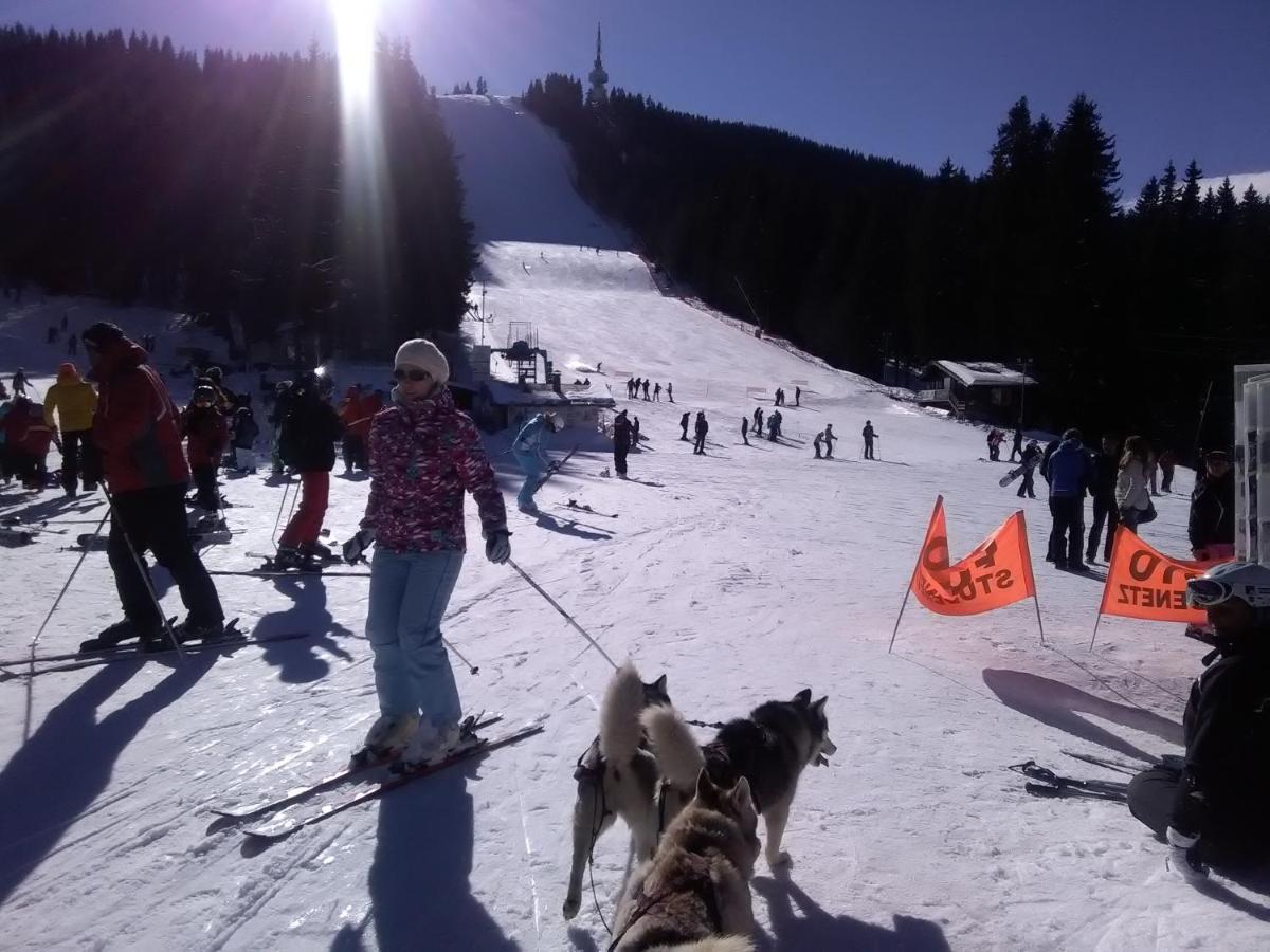Ski Chalets At Pamporovo - An Affordable Village Holiday For Families Or Groups ภายนอก รูปภาพ